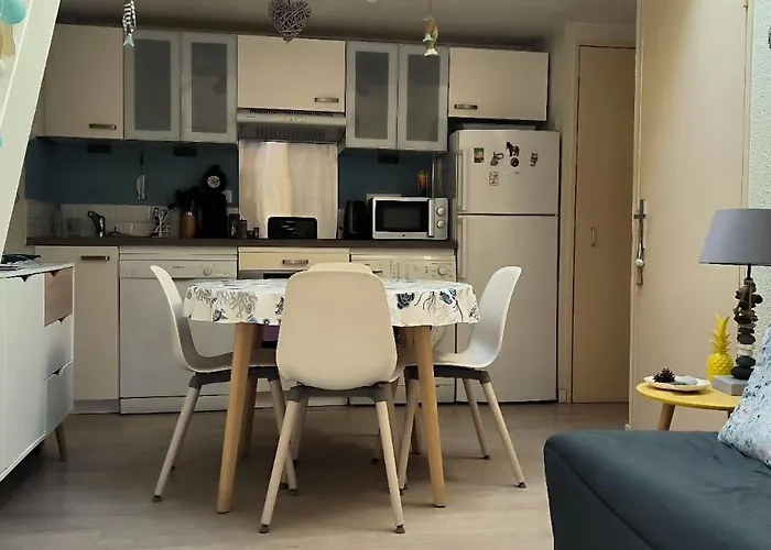 St Cyprien Cocon A 2 Pas De La *