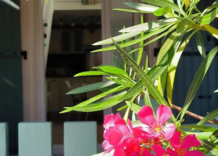 St Cyprien Cocon A 2 Pas De La